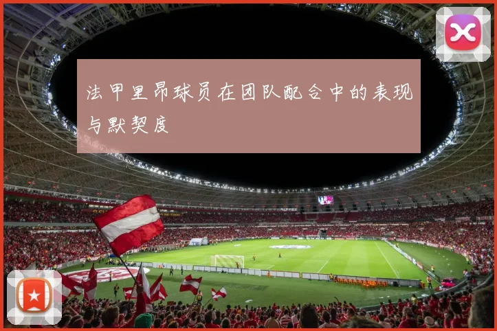 法甲里昂球员在团队配合中的表现与默契度