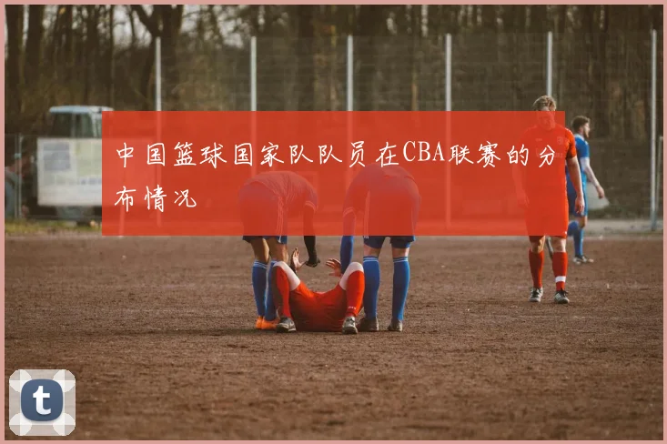 中国篮球国家队队员在CBA联赛的分布情况