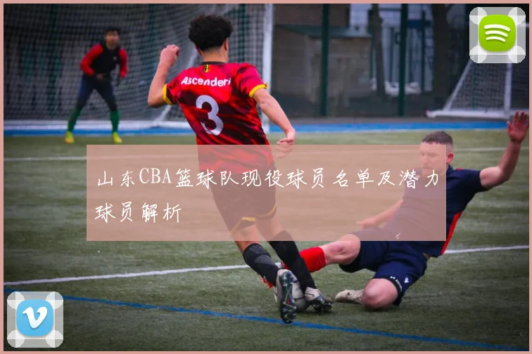山东CBA篮球队现役球员名单及潜力球员解析