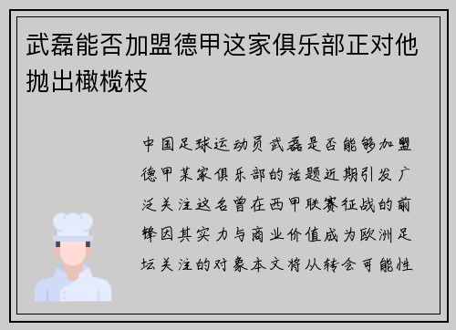 武磊能否加盟德甲这家俱乐部正对他抛出橄榄枝