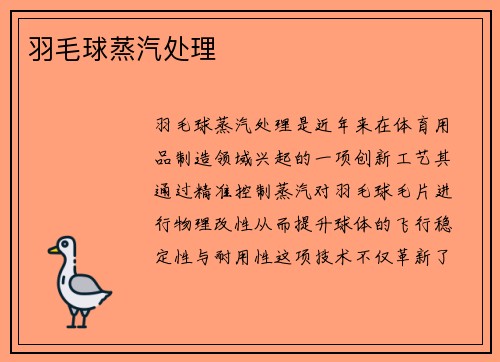 羽毛球蒸汽处理